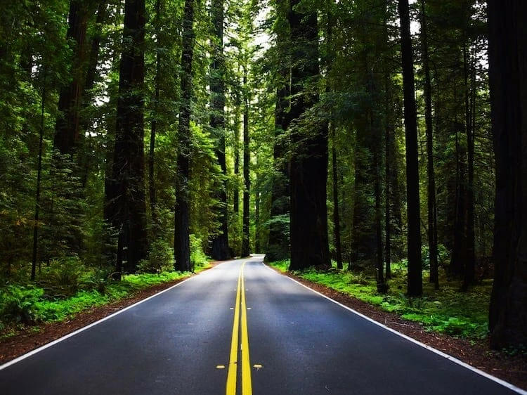 Learning to make money as a nurse coach can be a winding road