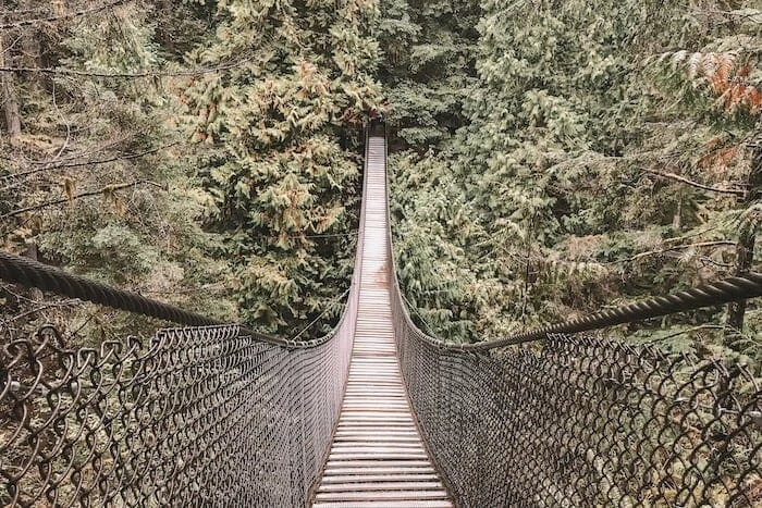 A walk in the woods - A path towards health